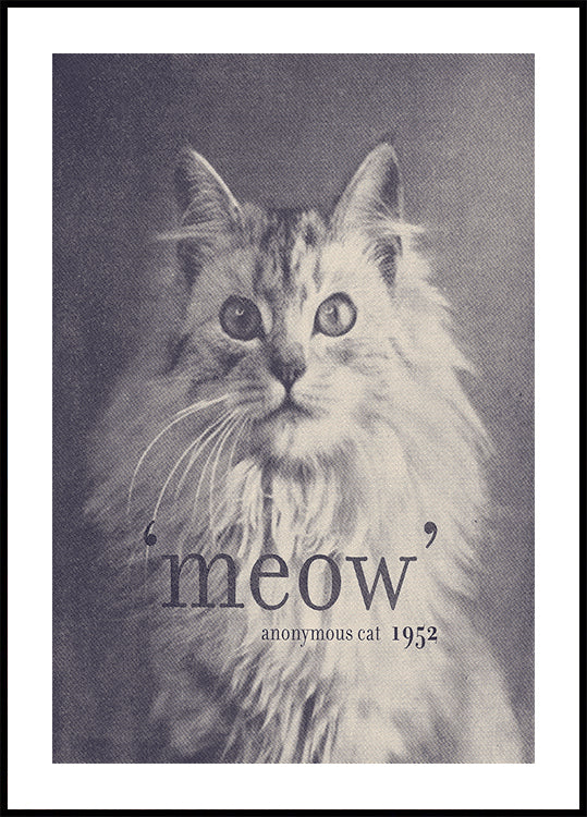 Poster con citazione famosa del gatto