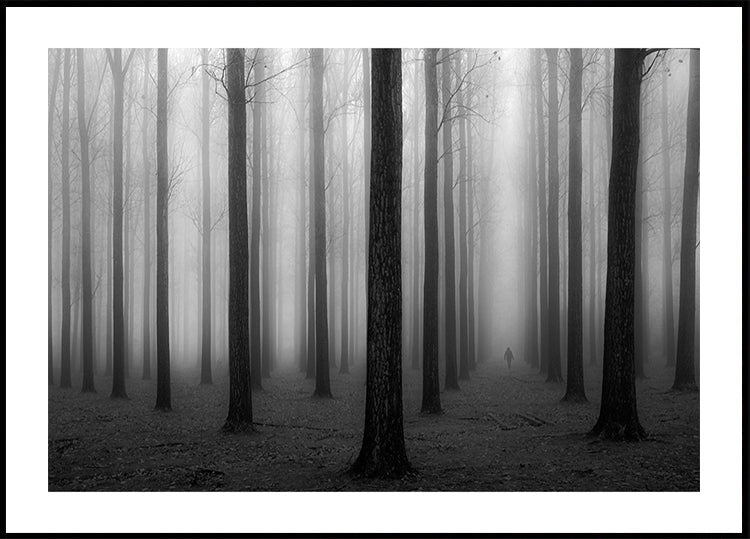 Nella nebbia