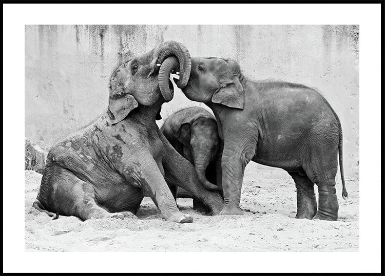 MÉNAGE A TROIS