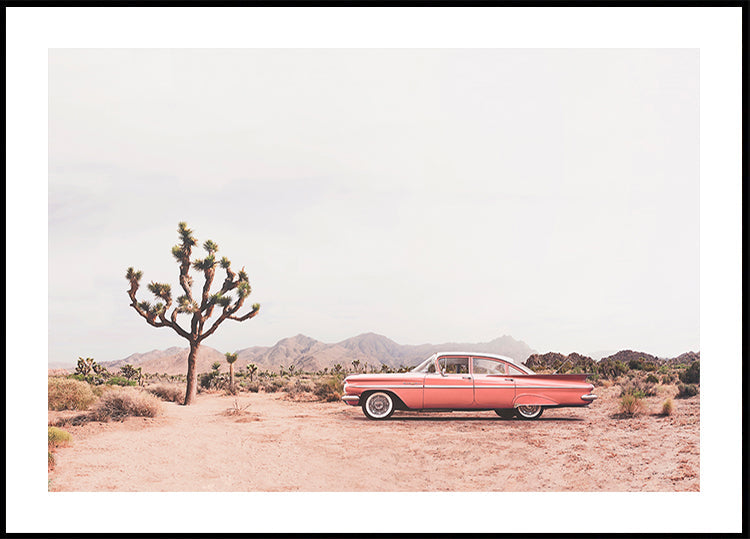 Nel poster del deserto