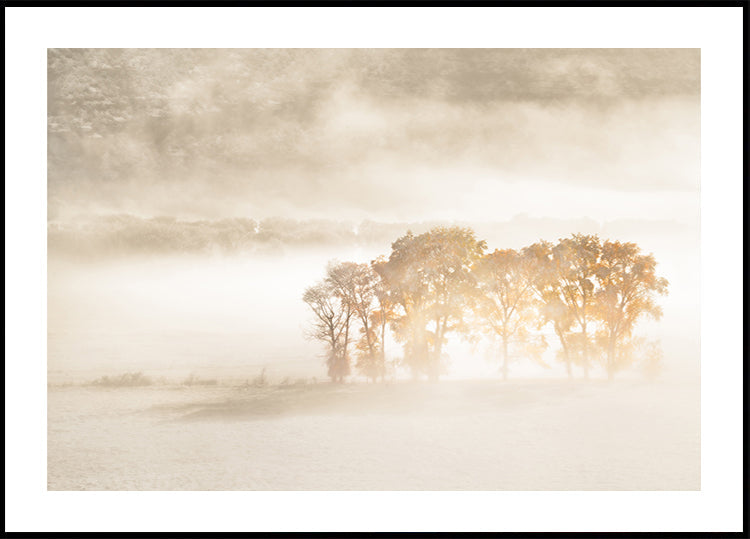 Poster di sogni autunnali