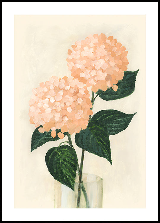 Ortensie coralline in un vaso