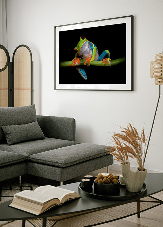 Manifesto della curiosità