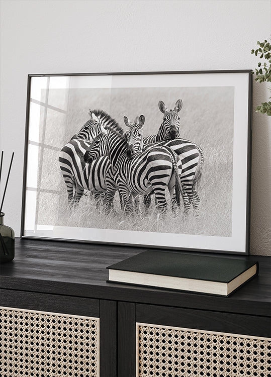 Zebre