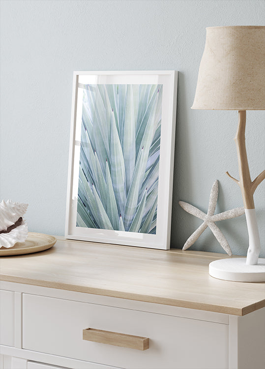 Danza dell'agave azzurra