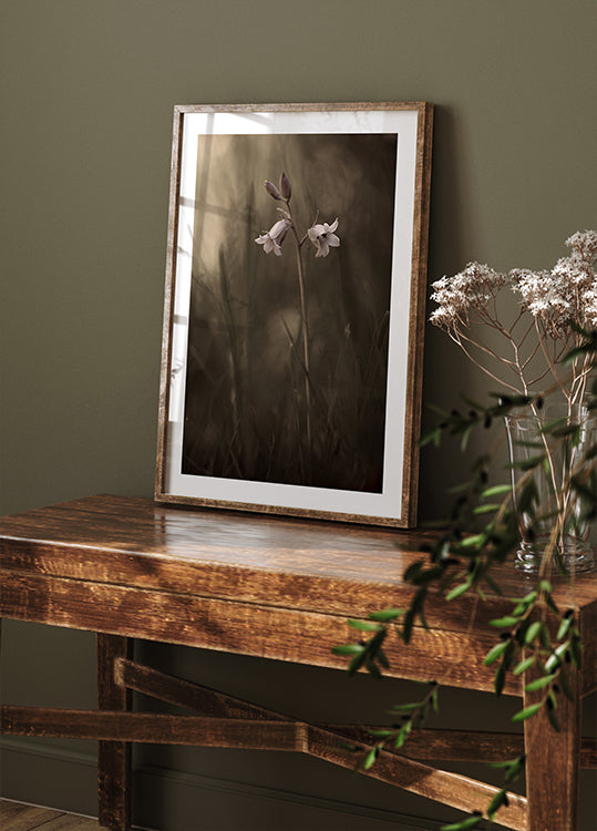 Un piccolo fiore sul terreno Poster