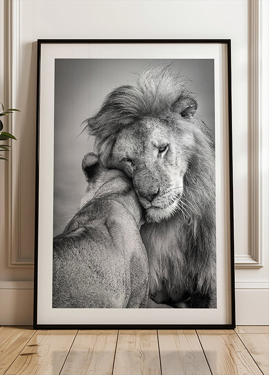 Amore africano! Poster