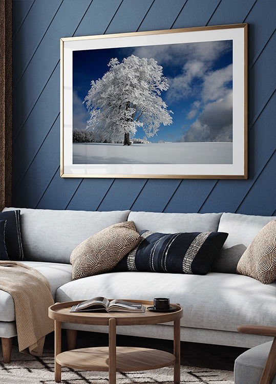 Windbuche bianco nella Foresta Nera