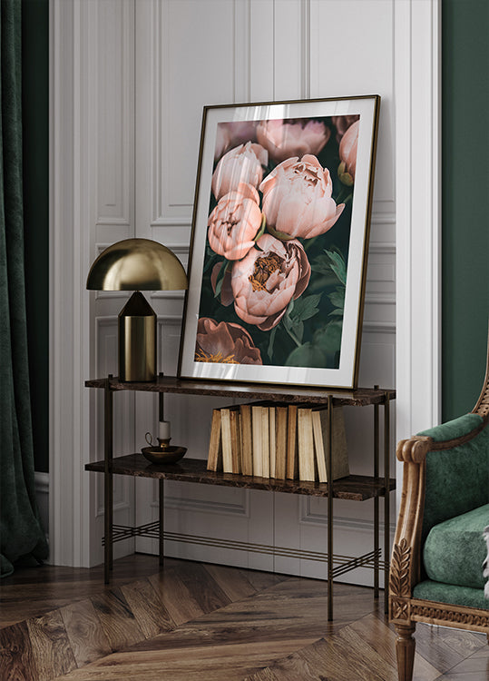 Peonie coralline