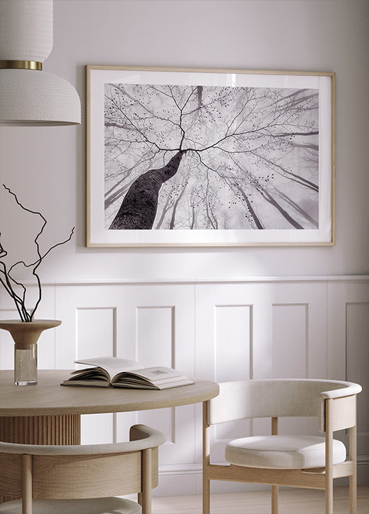Poster con vista della corona dell'albero