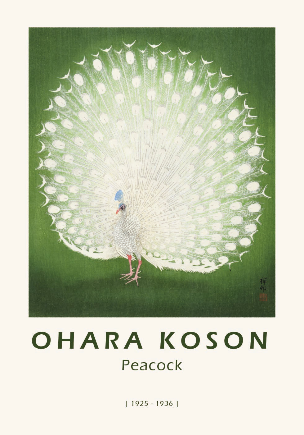 Peacock, Japanese White Peafowl Plakat - Posterbox.dk