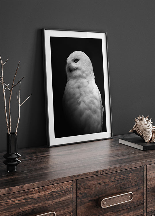 Snowy Owl in Black and White Plakat - Posterbox.dk