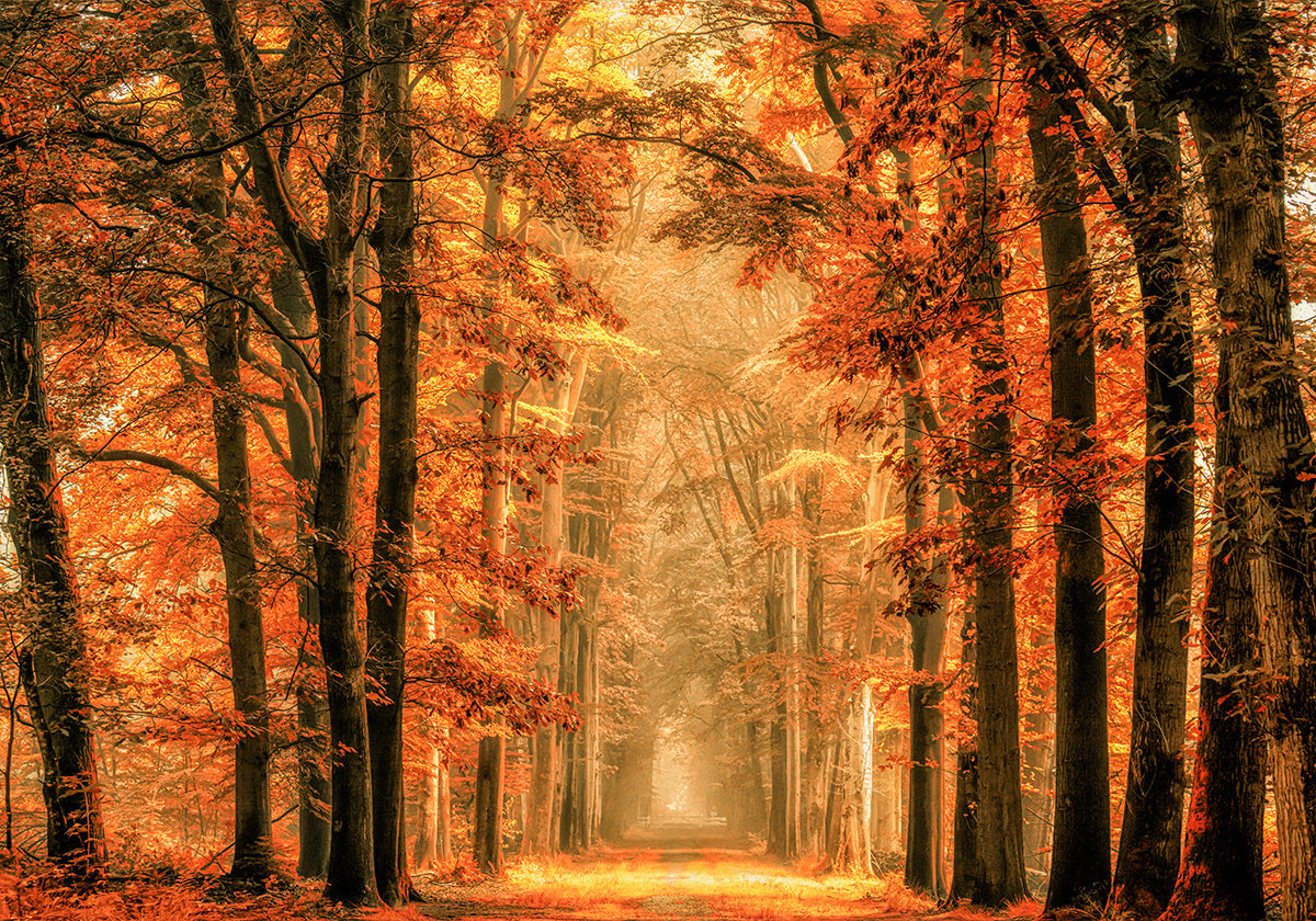 Esci dal poster del portale