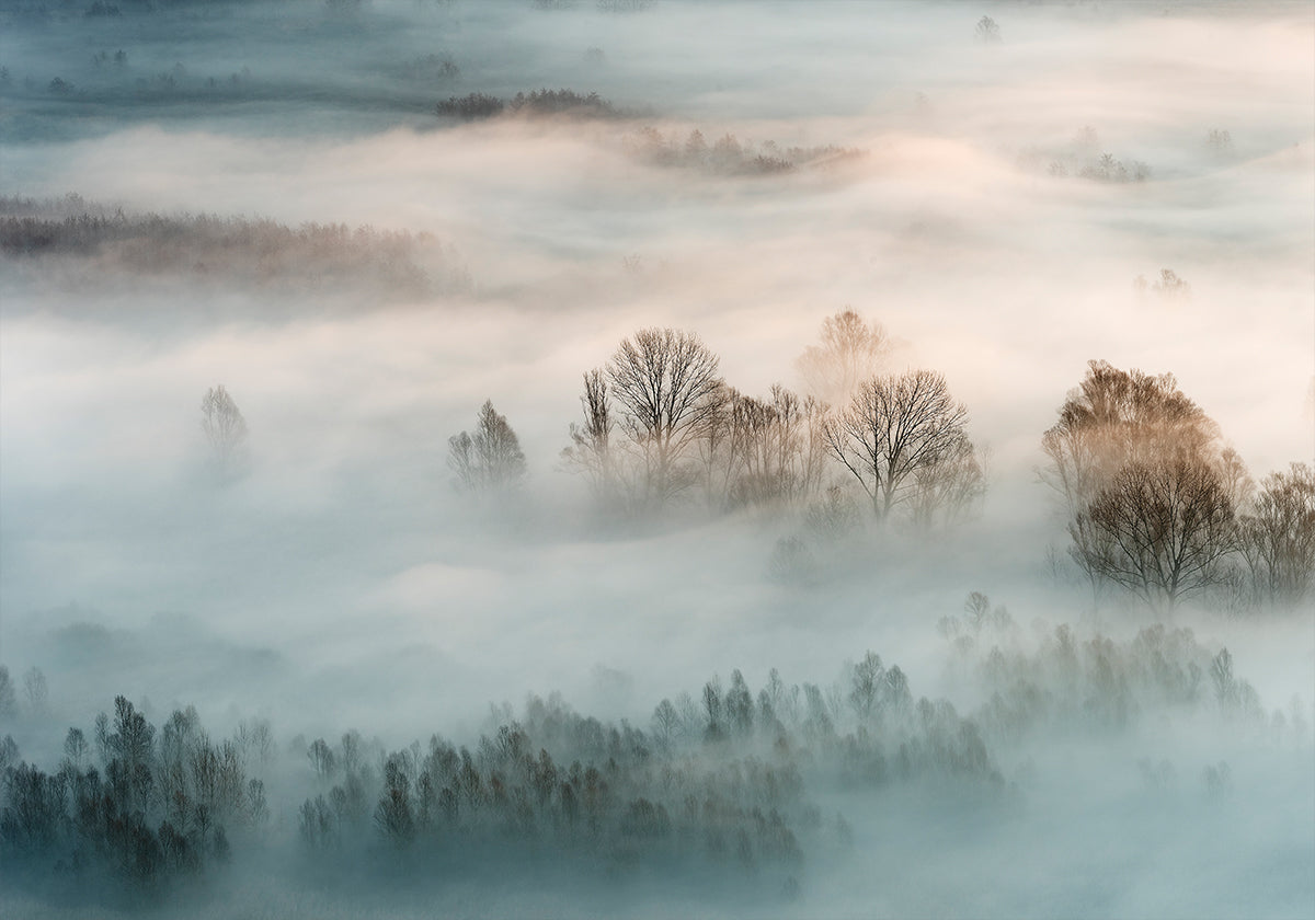 Poster di nebbia invernale