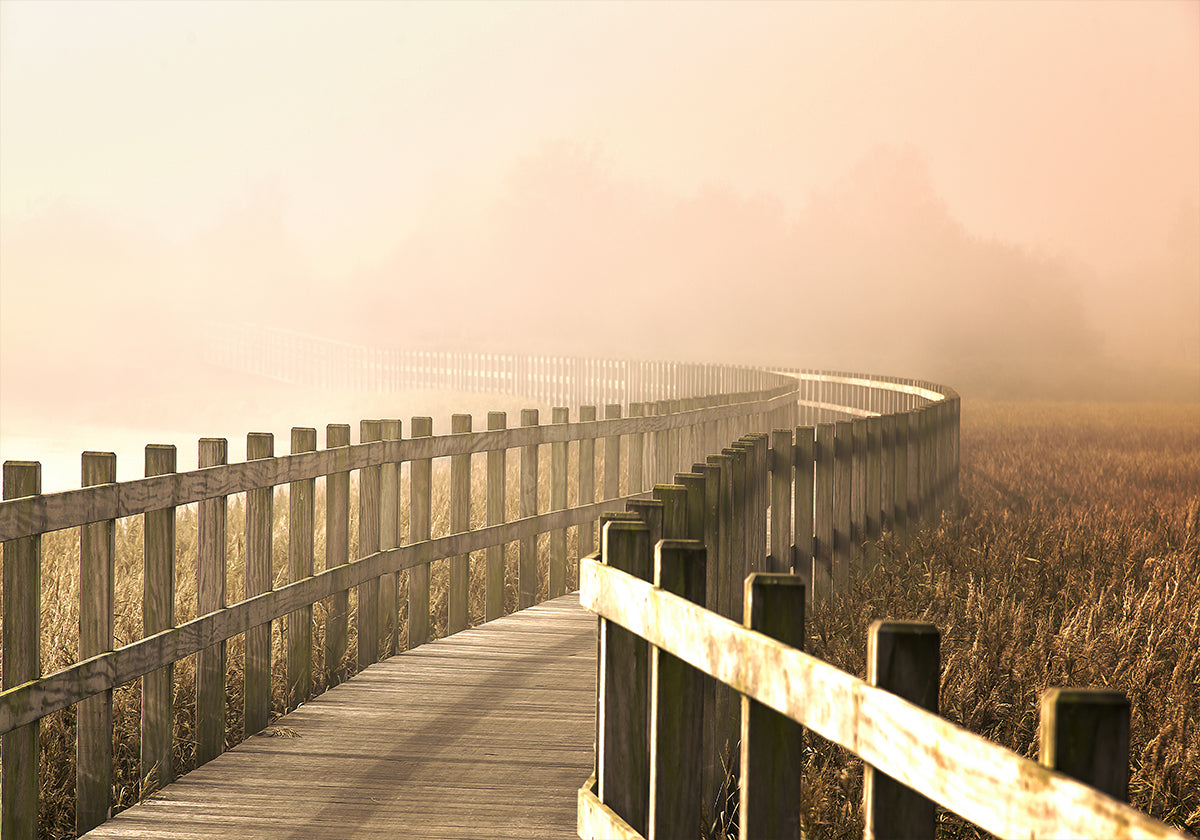 Il Sentiero si fa più luminoso.