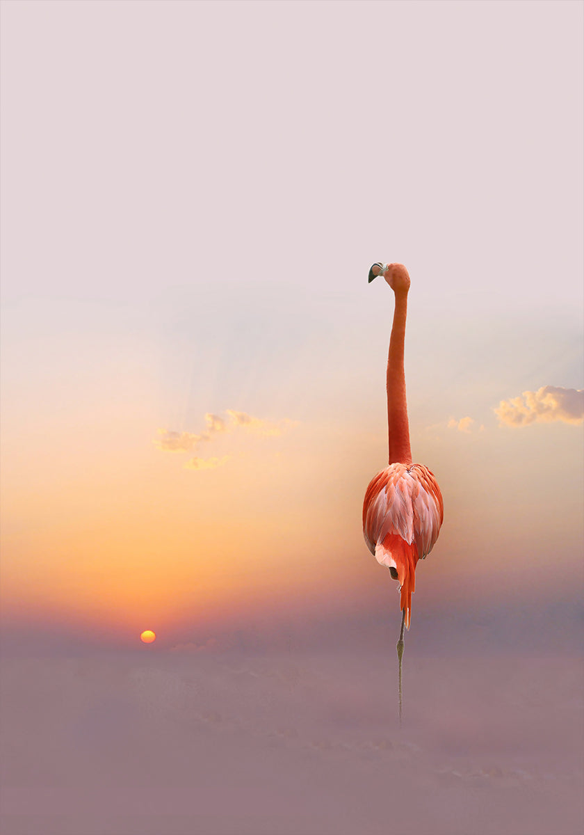 tramonto...