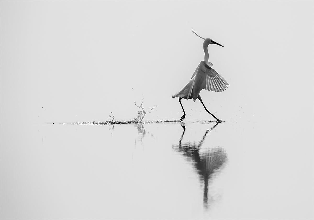 Locandina "Ballando sull'acqua".