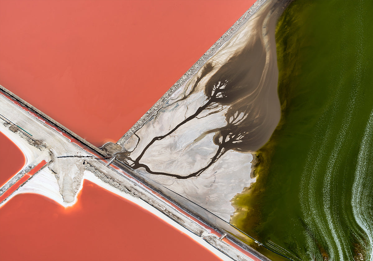 La pittura della natura