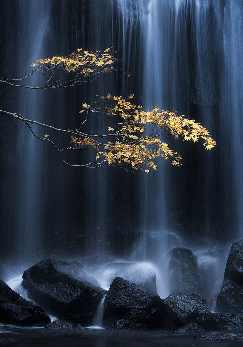 Autunno giallo