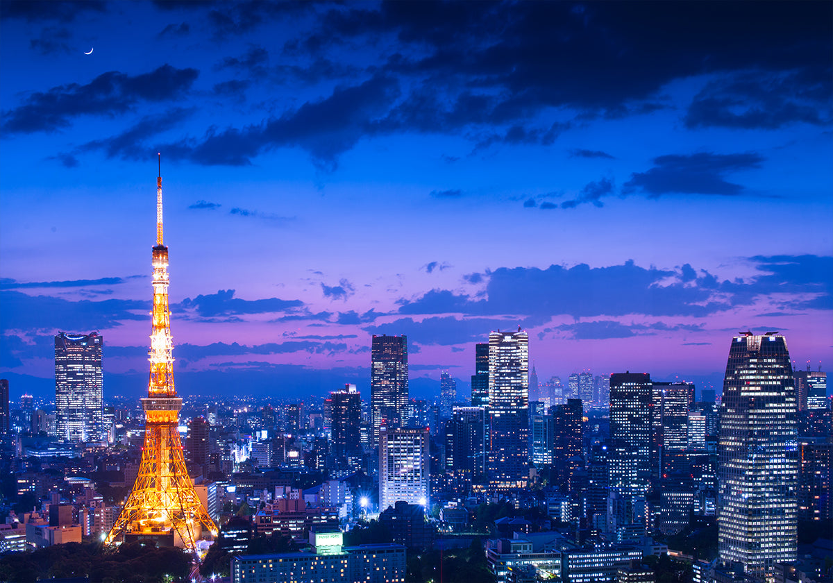 Vista notturna di Tokio