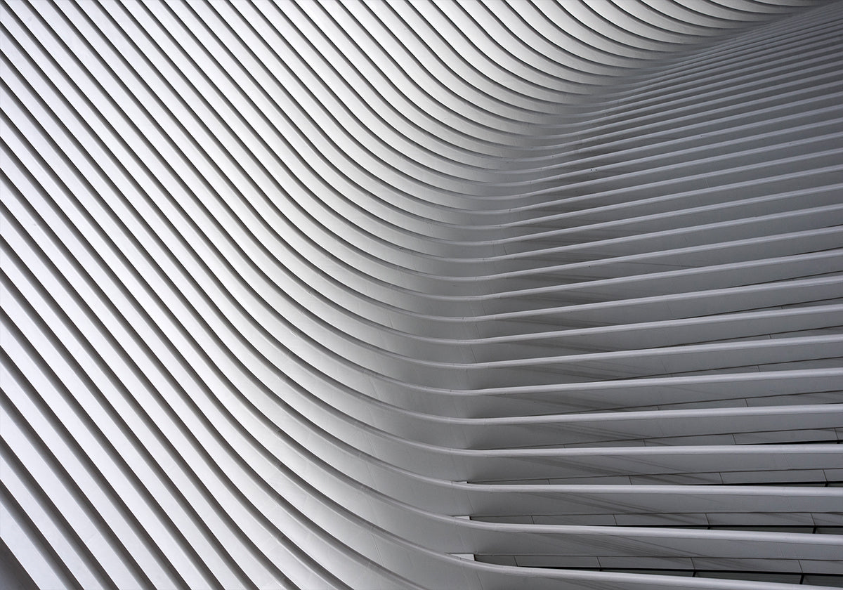 Poster Curve di Calatrava #2
