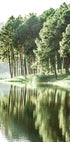 Green Summer Lake Plakat - Posterbox.no