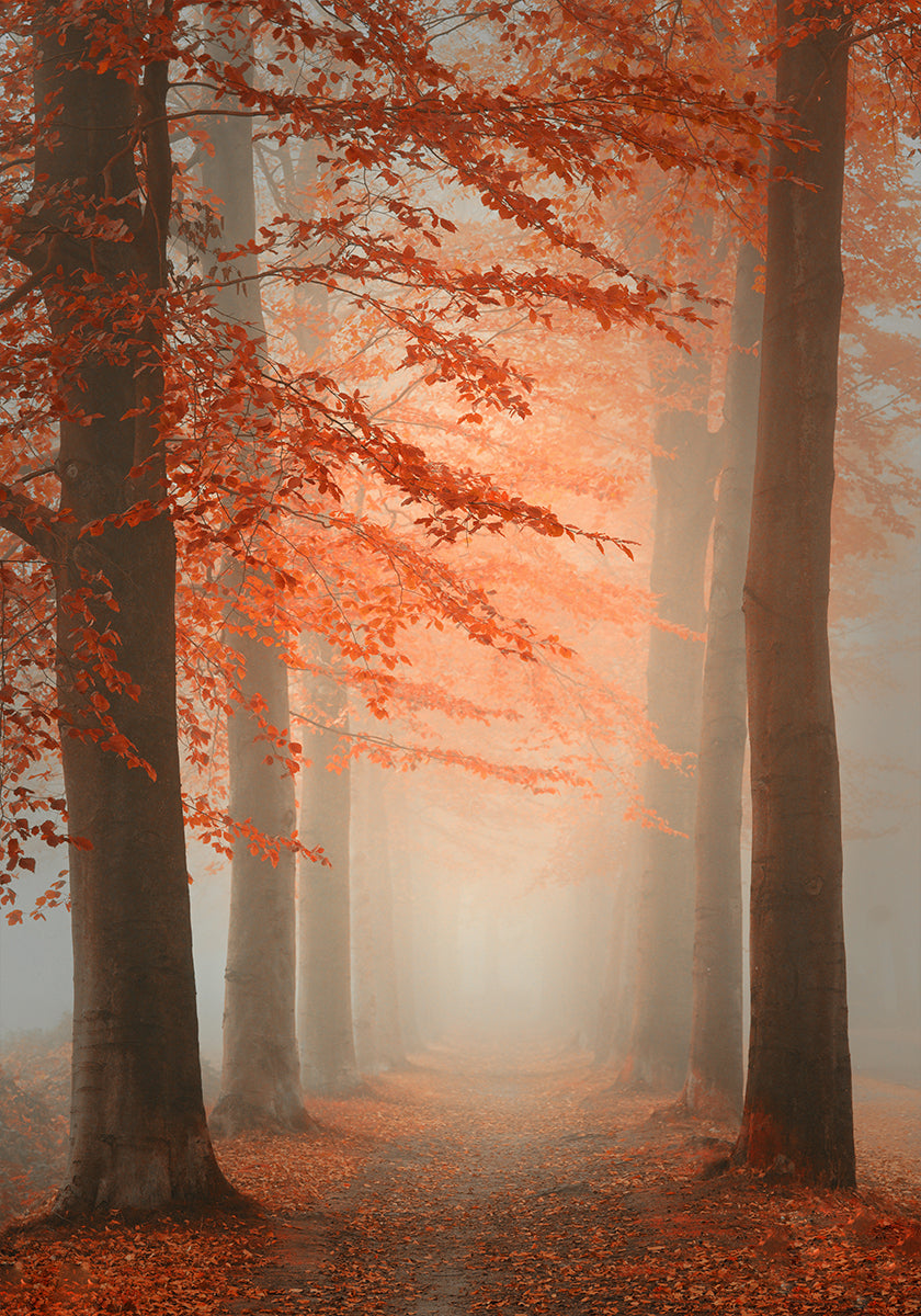 Manifesto del sogno autunnale