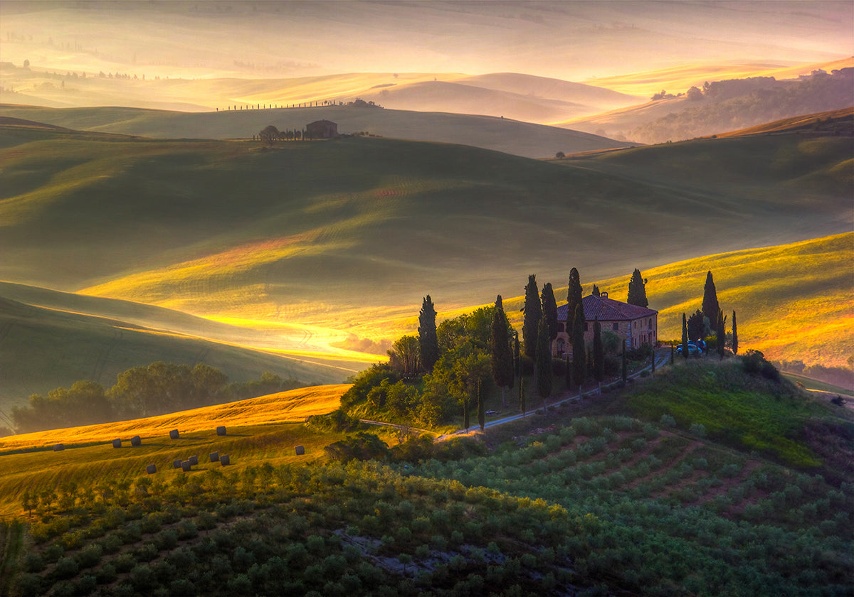 Di verde e oro