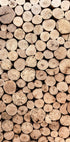 Wood Logs Plakat - Posterbox.no