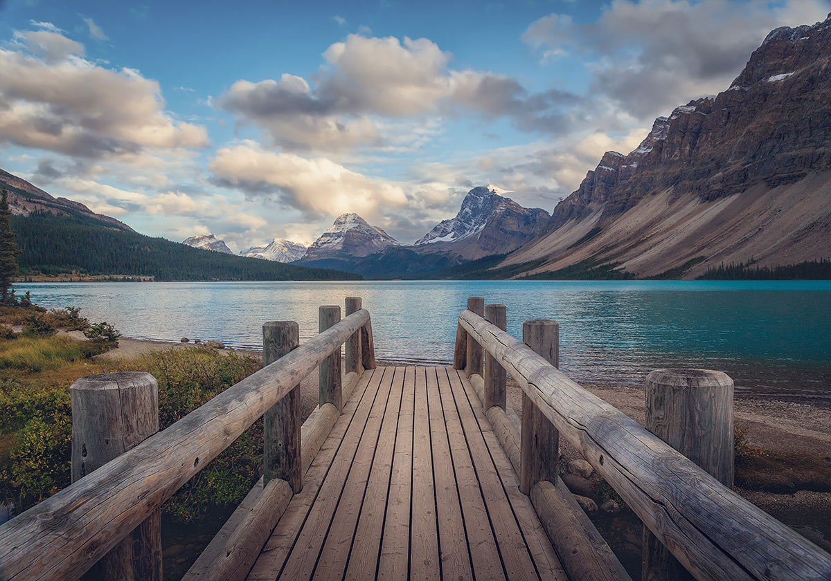 Il manifesto del ponte