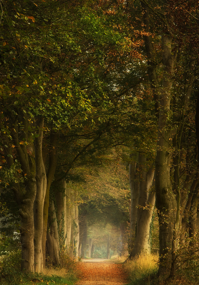 Manifesto del sognatore ad occhi aperti