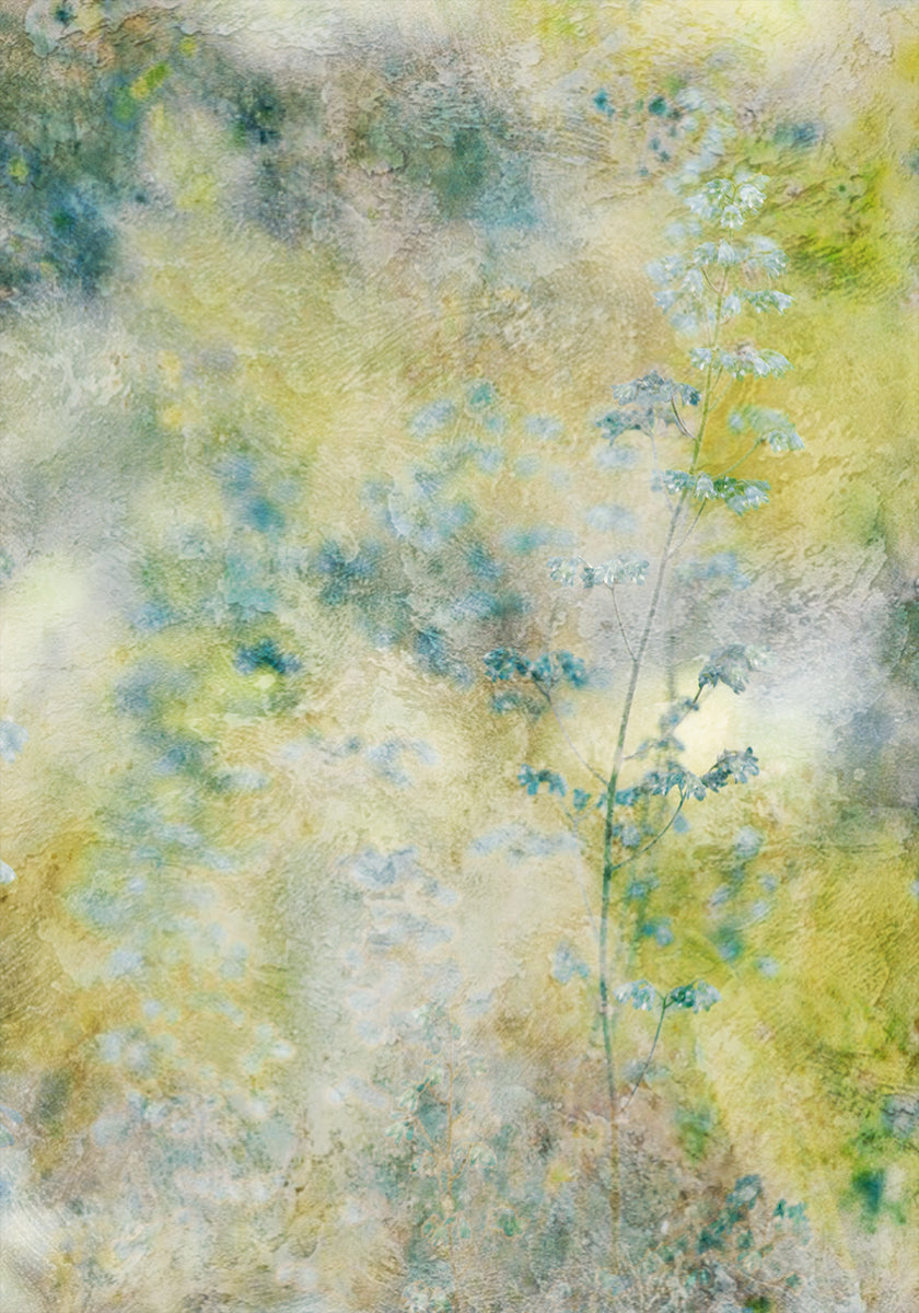 Il manifesto di tutto