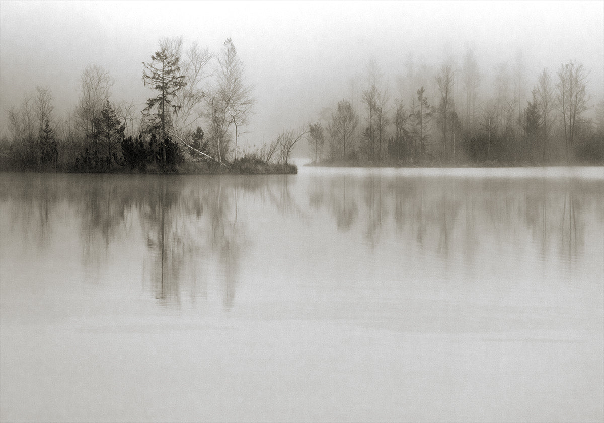 Dissoluzione