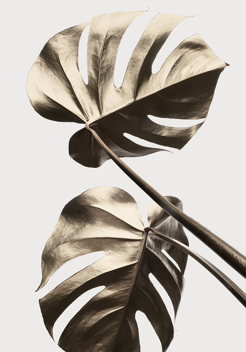Poster Monstera Oro 08