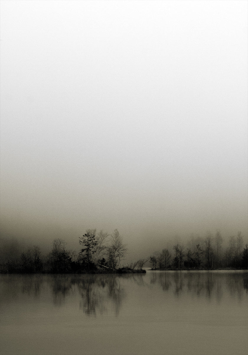 Diffusione