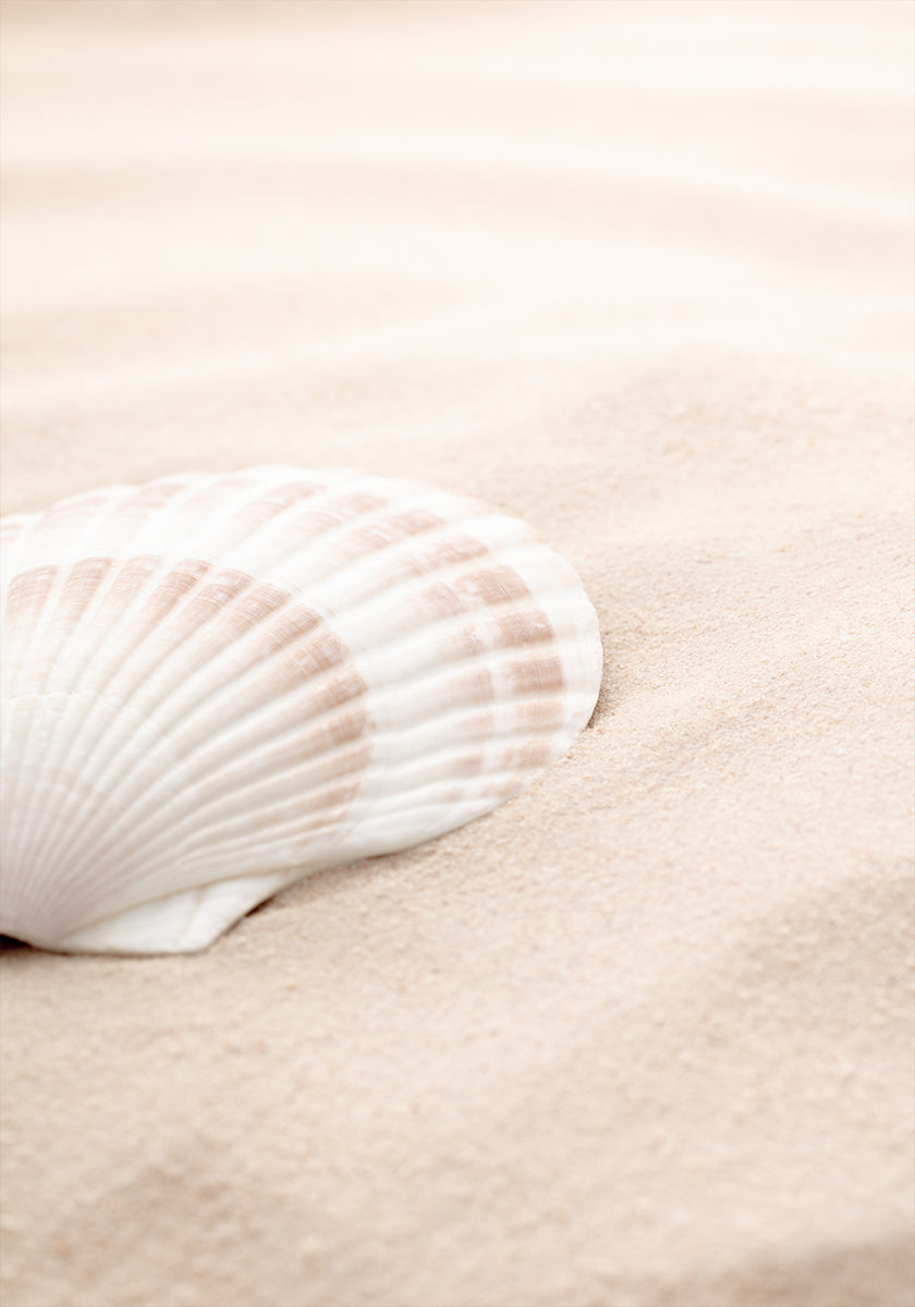 Manifesto Shell_3