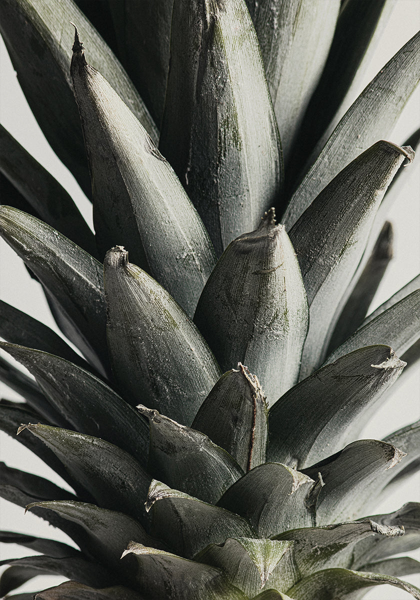 Pineapple close up Plakat