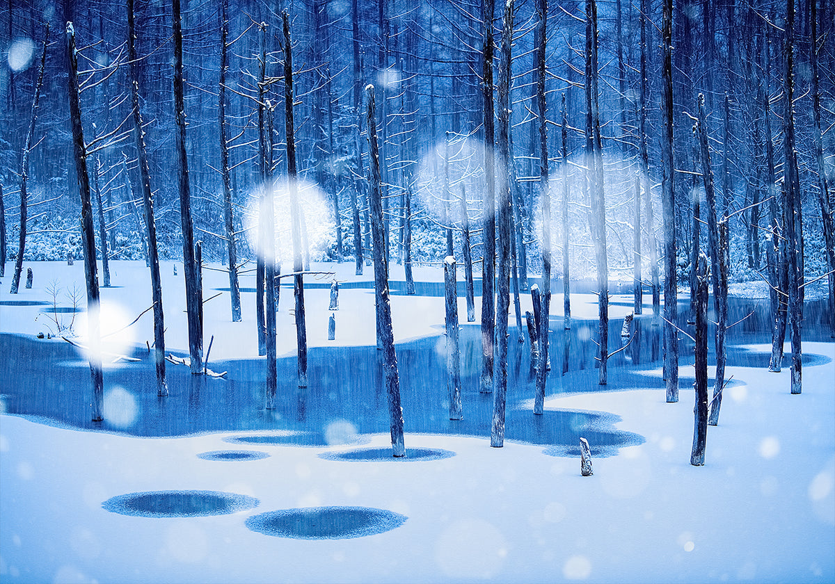 Manifesto del paese delle fate