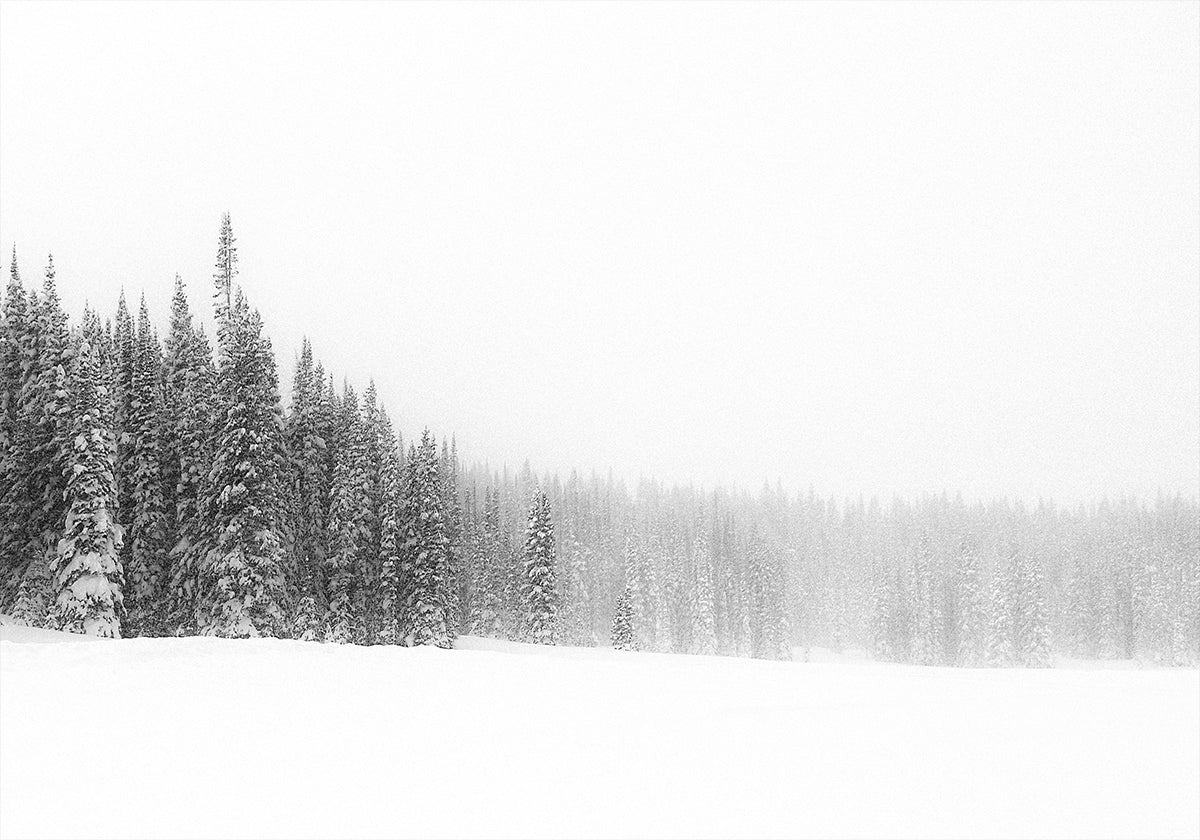 Poster La foresta per gli alberi
