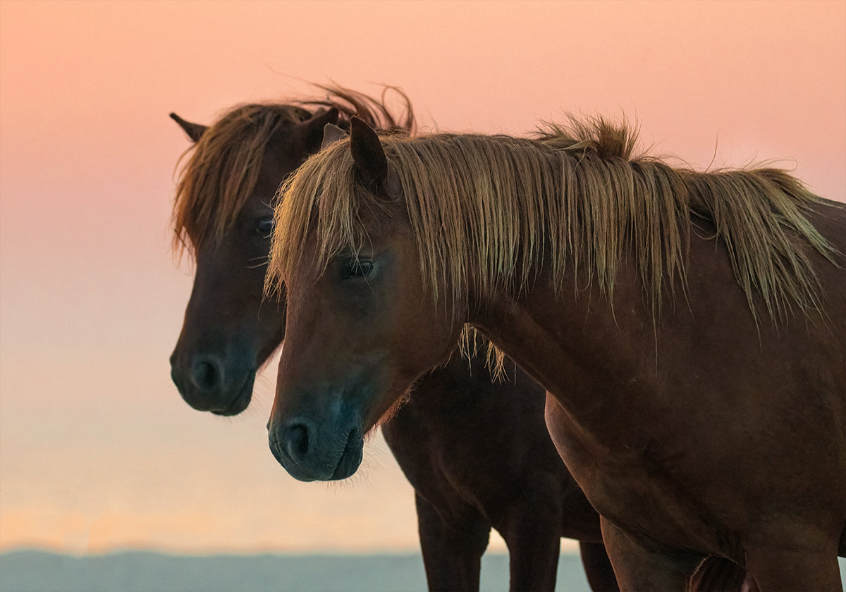 In attesa del manifesto