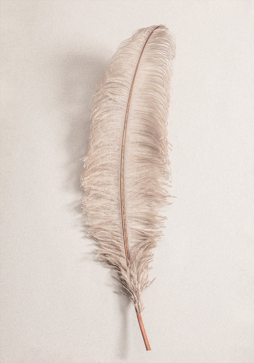 Feather No.2 Plakat