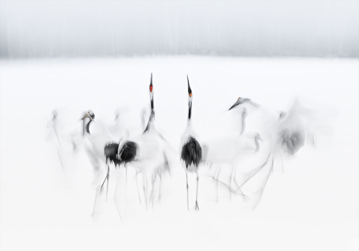 Poster di balletto calligrafico