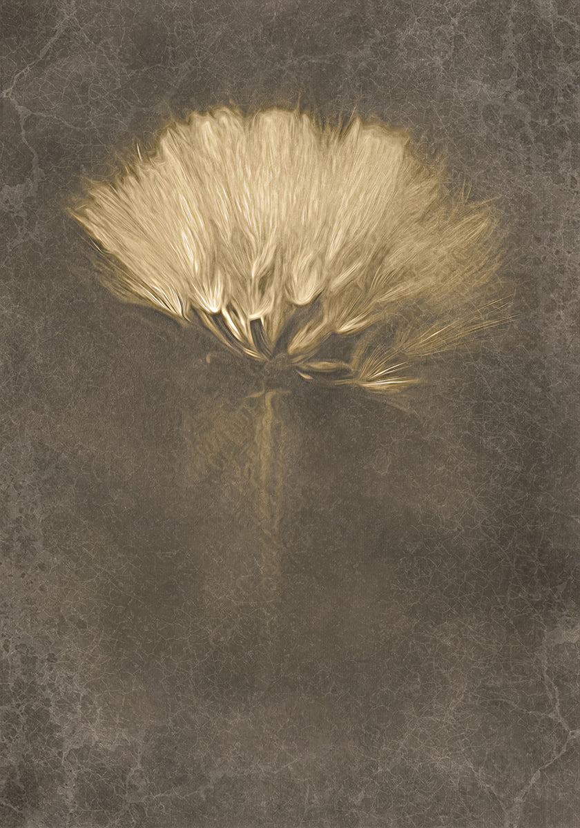 Poster di Giorni misteriosi