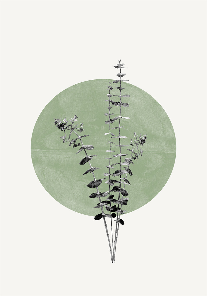 Poster L'eco della natura