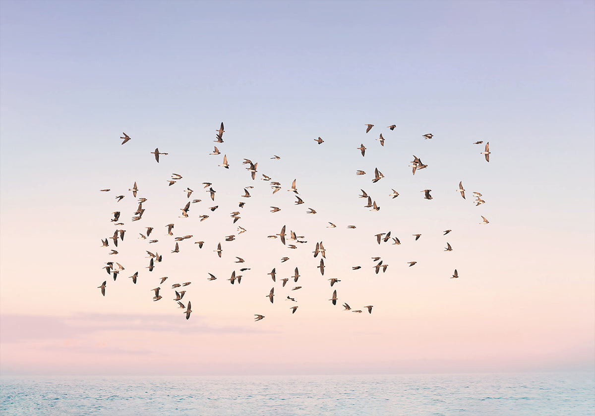 Poster del volo al tramonto