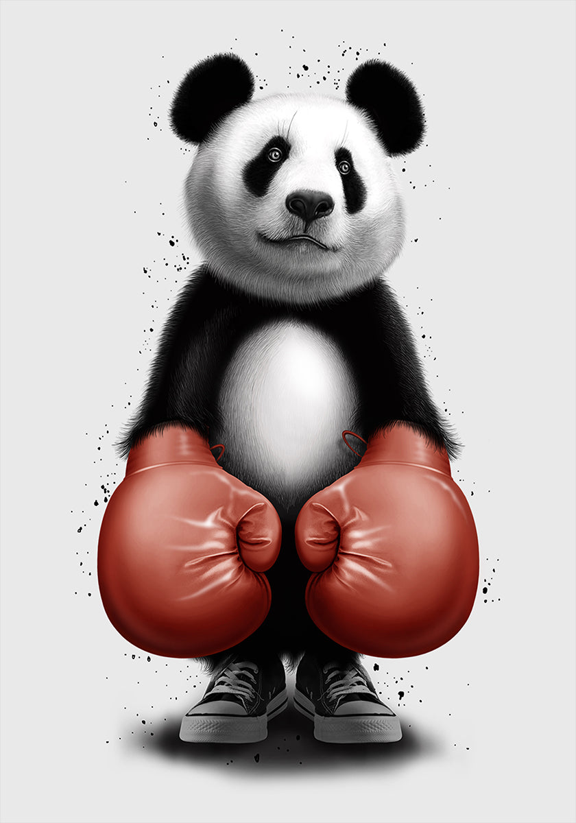 Poster del PUGILE PANDA