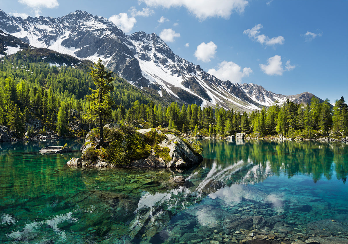 Poster del lago di montagna verde