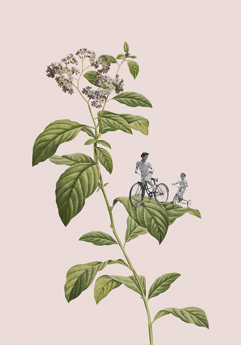 Ciclismo botanico