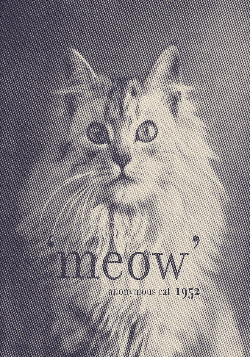 Poster con citazione famosa del gatto