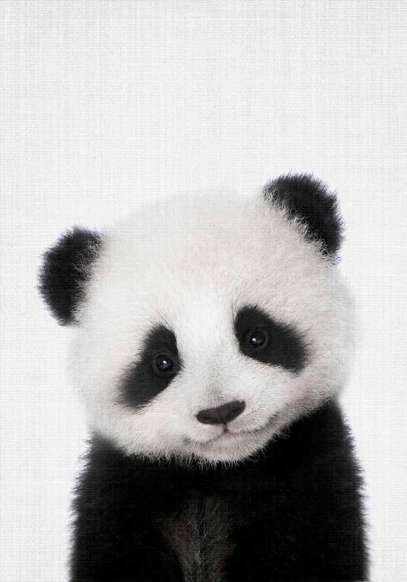 Cucciolo di panda Peekaboo